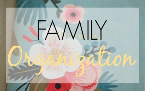 Family Organization
