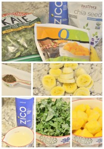 Kale Ingredients Resize